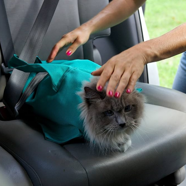 Easy Carry Cat Bag