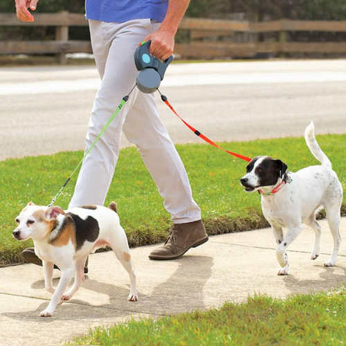 CalmWalk™ Dual Leash