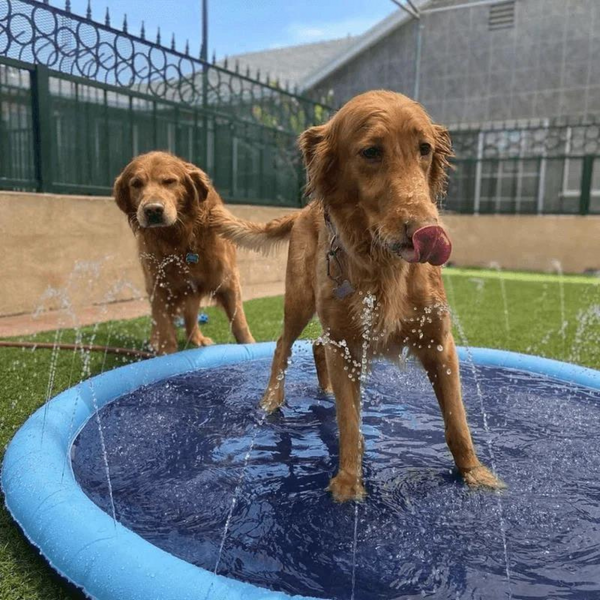 Doggy Splash Pad - 50% OFF SALE