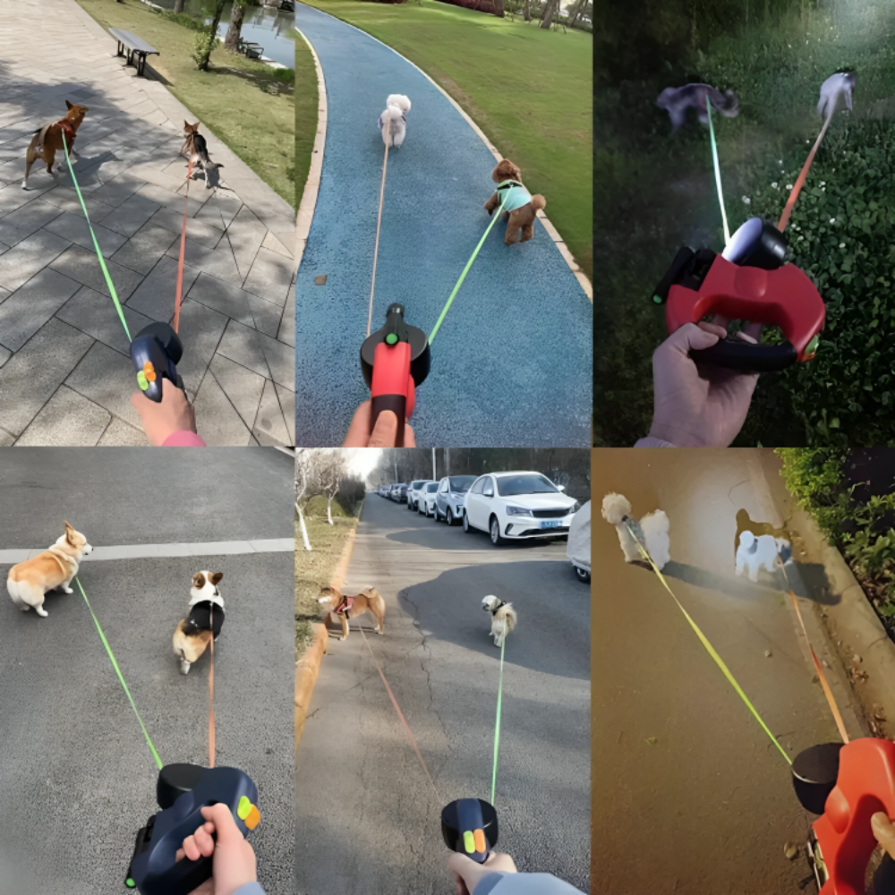 CalmWalk™ Dual Leash